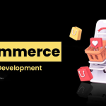 eCommerce Website Development Guide